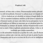 Psalmul 146