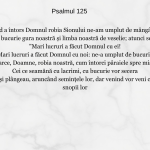 Psalmul 125