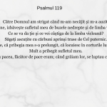Psalmul 119